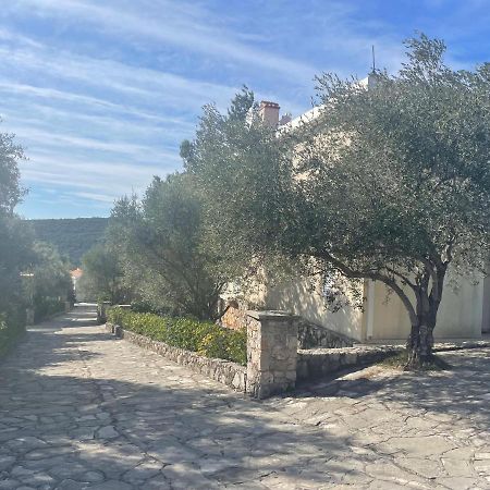 Villa Thetis 比戈沃 外观 照片
